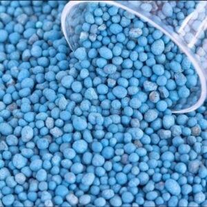 නිල් කැට 1KG