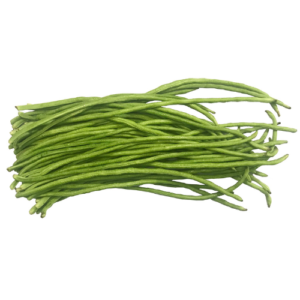 දිග මෑ-ස්ටික්ලස්